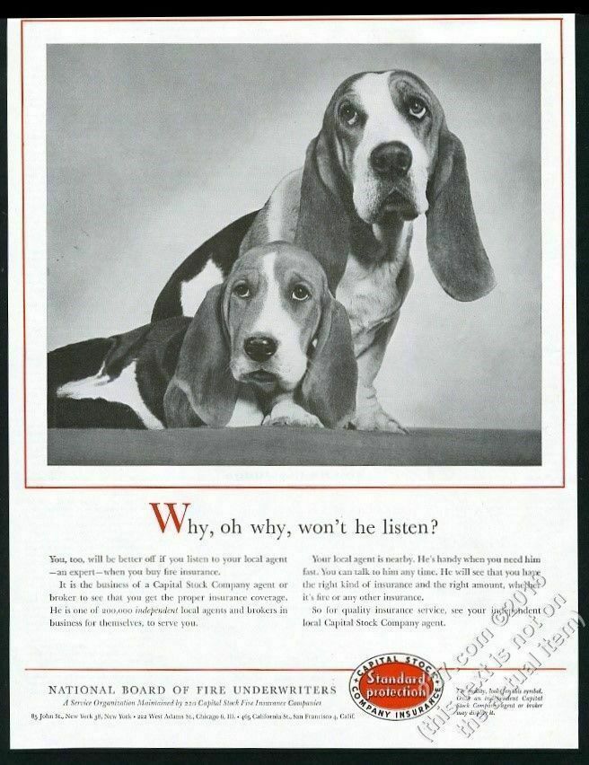 1957 Basset Hound Photo Capital Stock Insurance Vintage Print Ad